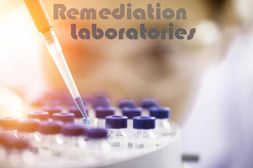 RemediationLaboratories - THC and CBD Biomass for Isolate and Oil